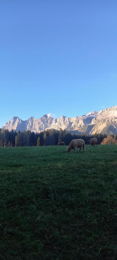 Landhaus-Koenigsberg, Vorberg 360 Ebenguetlweg ラムサウ・アム・ダッハシュタイン エクステリア 写真
